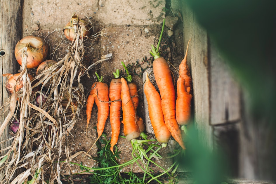 Healthy Eating Tips for Everyone