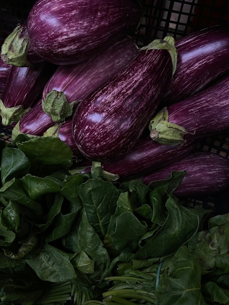 The Benefits of Organic Farming